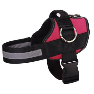 Offer only today💗World's Best Dog Harness - 2021 Version
