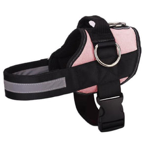 Offer only today💗World's Best Dog Harness - 2021 Version