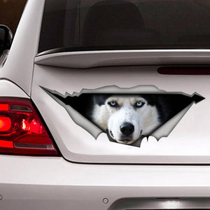 Husky Car Sticker