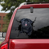 Pug Crack Car Sticker 33