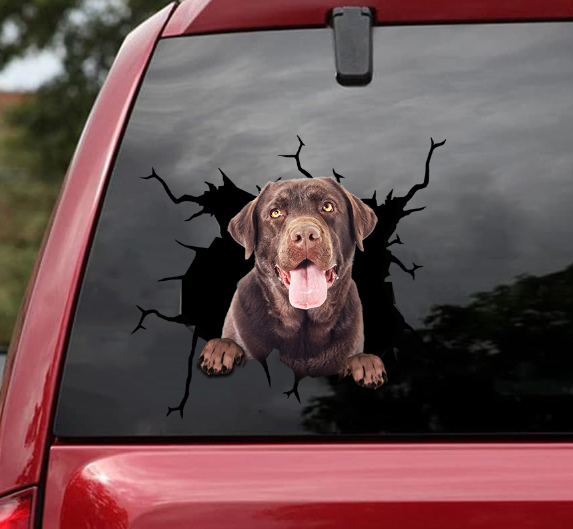 Chocolate Labrador Retriever Crack Car Sticker, Toilet Sticker, Fridge Sticker 5